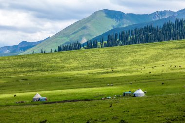 otlak: Xinjiang, China