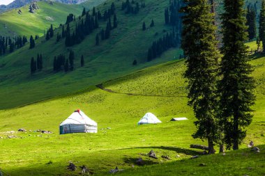 otlak: Xinjiang, China