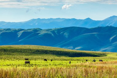 otlak: Xinjiang, China