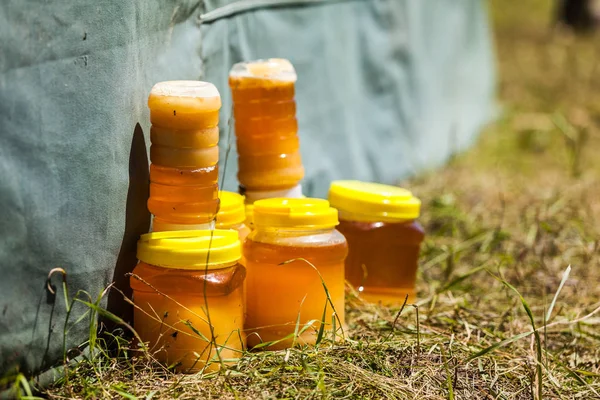Méh Palackok Földön — Stock Fotó