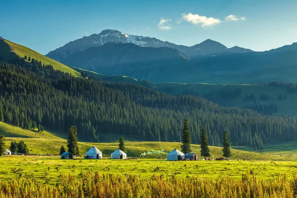 Prairies Xinjiang Chine Photo De Stock