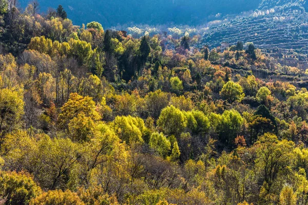 Осінь в горах Сичуань Китай — стокове фото