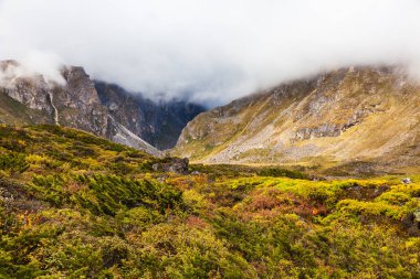 Himalaya dağ yeşil vadi