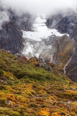 Himalaya dağ yeşil vadi
