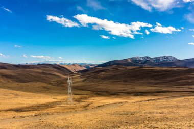 Tibet Çin'de sonbaharda otlak