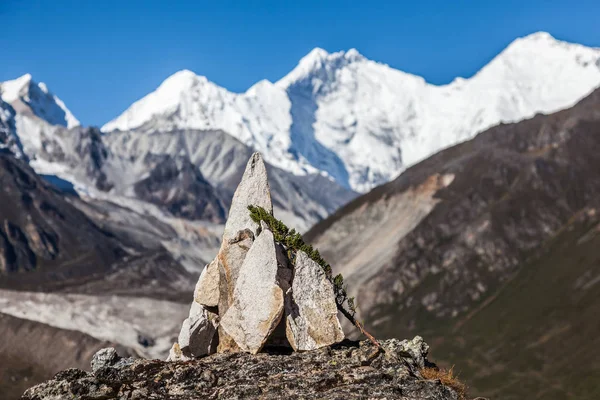 チベットのヒマラヤの雪山 — ストック写真