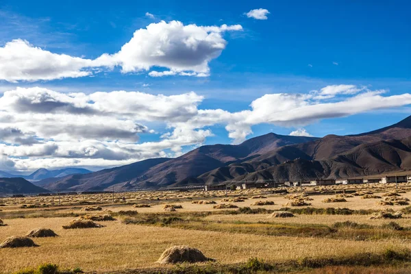 티베트의 히말라야 산맥의 필드 — 스톡 사진