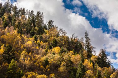 Çin'in dağ düşmek