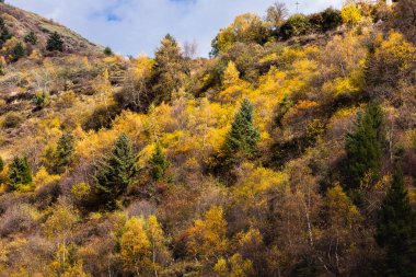 Çin'in dağ düşmek