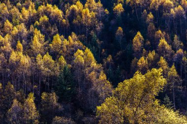 Çin'in dağ düşmek