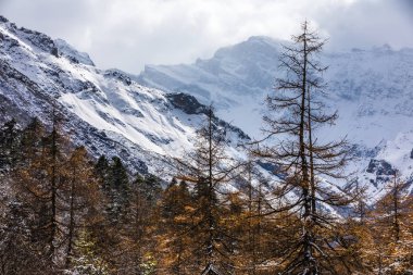 Sichuan Çin'de kar dağı