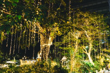 festivalde ağaç ışık