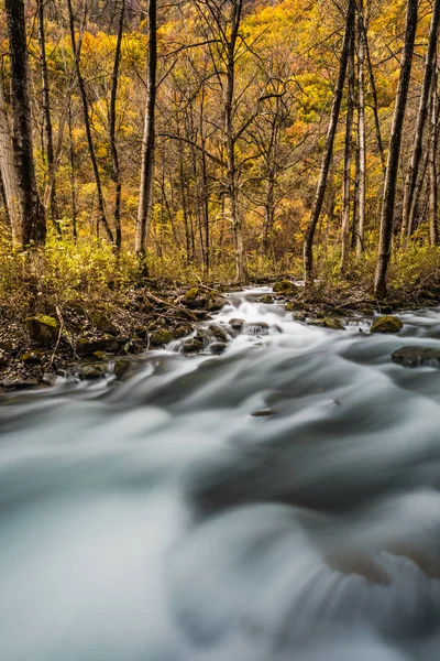 river and yellow leaf in fall