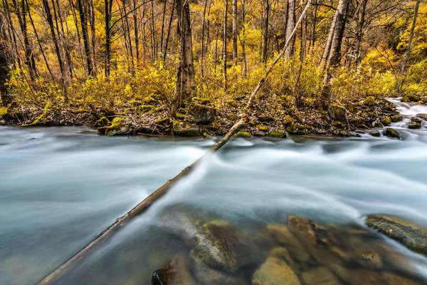 Rivière et feuille jaune à l'automne — Photo