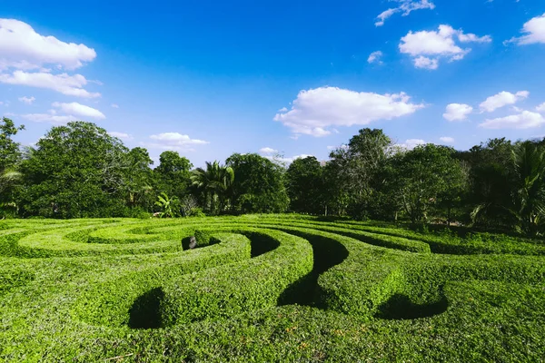 Labyrinthe sous le ciel bleu en Thaïlande — Photo