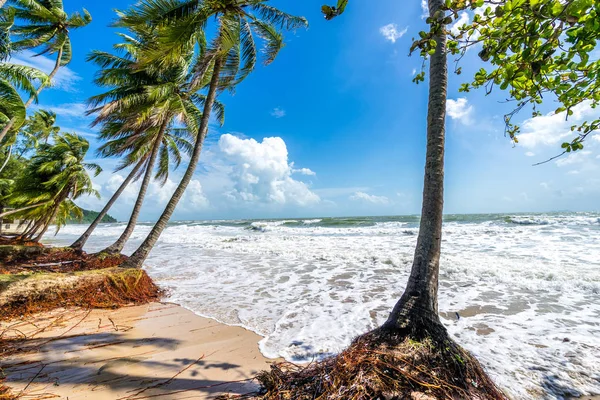 Beach after storm in Thailand — Stock Photo, Image
