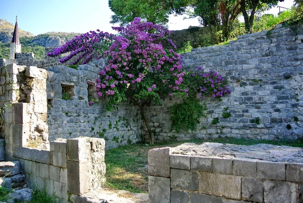 Ruins Old Fortress. Town of Bar in Montenegro. Fortress in the old town on a sunny summer day. Very visited place by tourists.