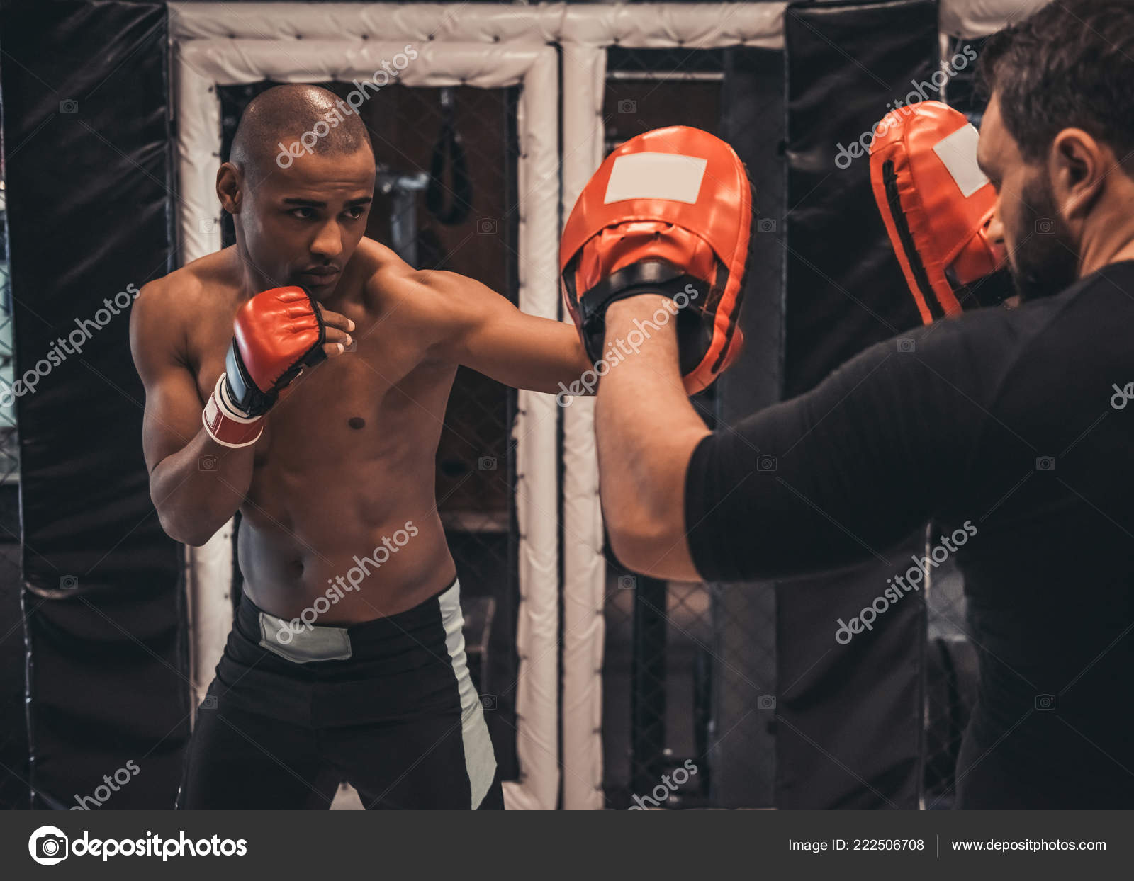 スパーリング写真素材 ロイヤリティフリースパーリング画像 Depositphotos