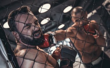 Boks eldivenleri ve şort iki adam kafese mücadele ediyoruz