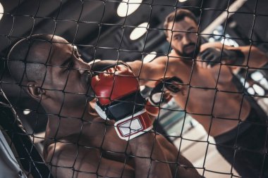 Boks eldivenleri ve şort iki adam kafese mücadele ediyoruz