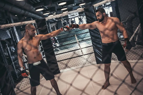 Dois Homens Luvas Boxe Shorts Estão Prontos Para Lutar Gaiola — Fotografia de Stock