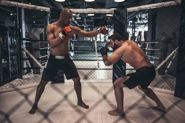 Dos Hombres Guantes Boxeo Pantalones Cortos Están Luchando Jaula — Foto de Stock