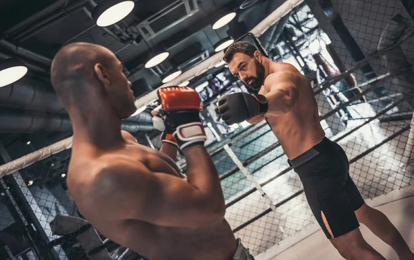 Dos Hombres Guantes Boxeo Pantalones Cortos Están Luchando Jaula — Foto de Stock