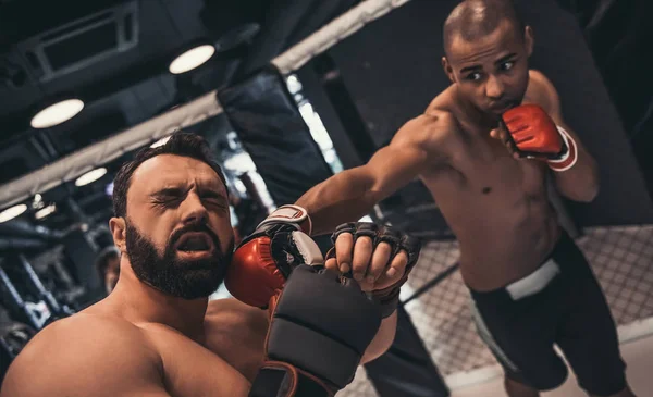 Dois Homens Luvas Boxe Calções Estão Lutando Gaiola — Fotografia de Stock