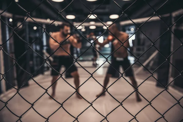 两个穿着拳击手套和短裤的男人在笼子里打架 — 图库照片