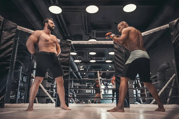 Dois Homens Luvas Boxe Calções Estão Lutando Gaiola — Fotografia de Stock