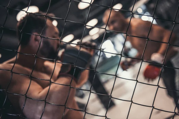 Dos Hombres Guantes Boxeo Pantalones Cortos Están Luchando Jaula —  Fotos de Stock