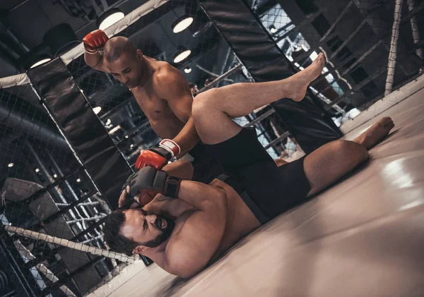 Two Men Boxing Gloves Shorts Fighting Cage — Stock Photo, Image