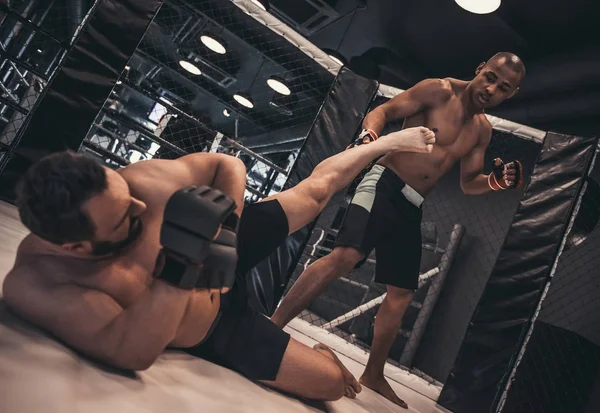 Two men in boxing gloves and shorts are fighting in cage