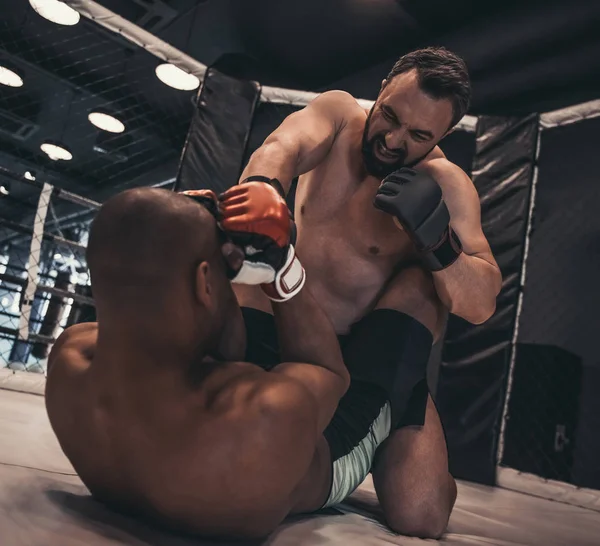 Two men in boxing gloves and shorts are fighting in cage