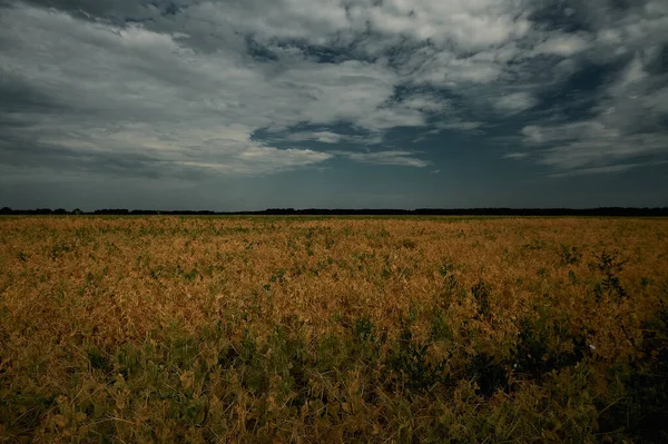 Znamení před zataženou oblohou — Stock fotografie