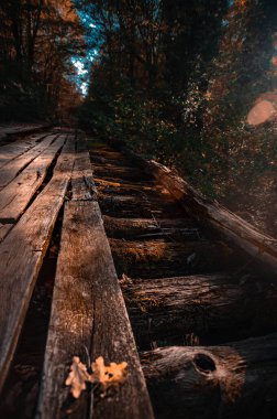 Arka planda ağaçlar olan tren raylarında bir tren.