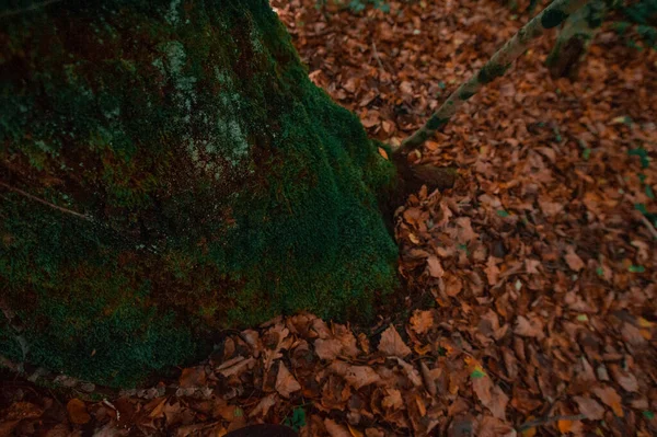 Um sinal em uma estrada de terra — Fotografia de Stock