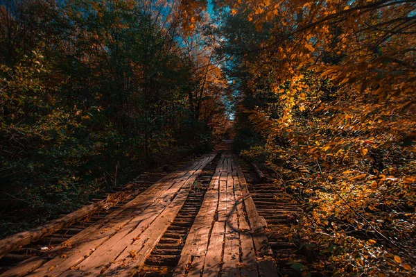 A vasúti síneken található tábla fákkal a háttérben — Stock Fotó