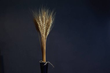 Siyah arkaplandaki sarı başlık yatay olarak fotoğraflandı