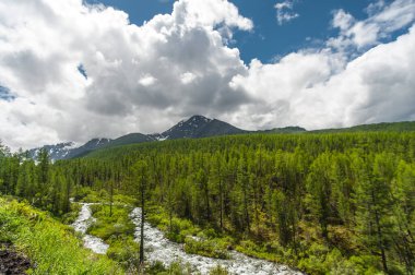 Dağ nehri bulutlu dağların arka planına karşı. Altai Dağı