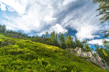 Altai Dağları 'nda yeşil çimenler ve benekli bulutlar.