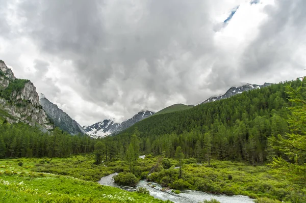 Altai Dağları 'ndaki kayalık dağlara karşı nehir.