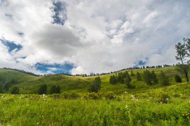 Altai Dağları 'na giden yol bulutlu gökyüzü ile dolu.