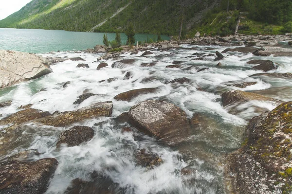 Altai Dağları 'ndaki çok dağlı göllerden sesler geliyor..