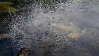 Güzel yağmurlar göllere damlıyor. Yakın çekim su 4k.