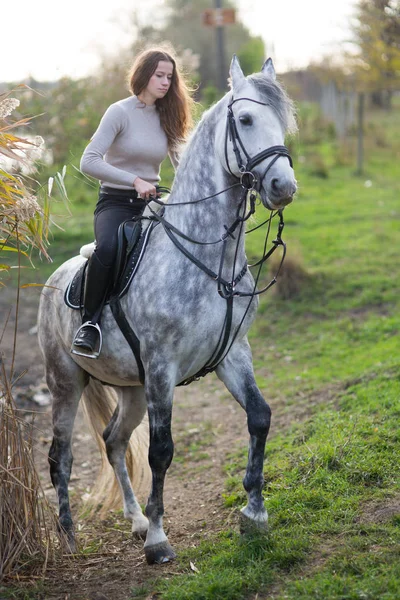 Young woman with a horse for a walk