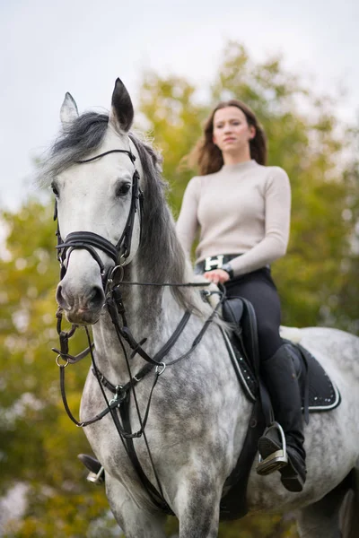 Young woman with a horse for a walk