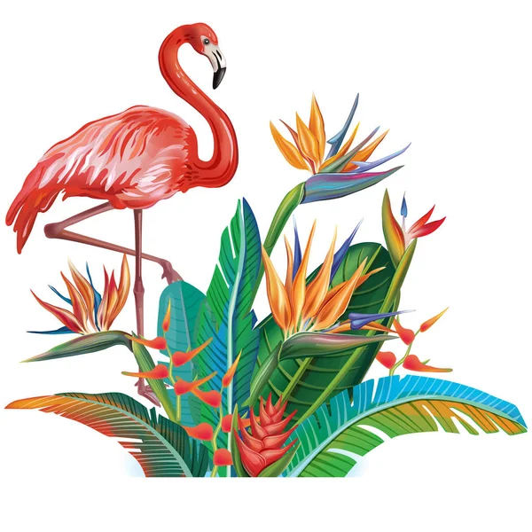 Arranjo Flores Tropicais Folhas Flamingos —  Vetores de Stock