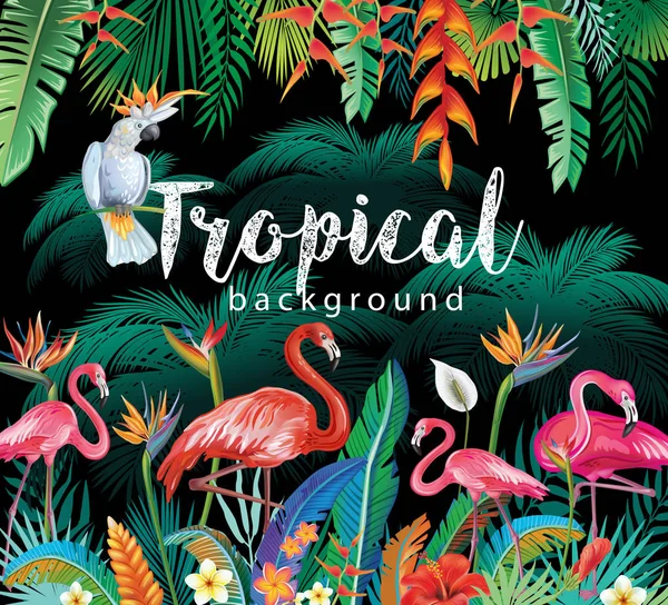 Şablon Tropikal Çiçeklerle Flamingolar Papağan Bırakır — Stok Vektör