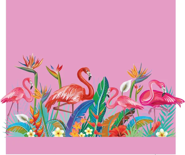 Border Tropical Flowers Leaves Flamingoes — Stock Vector